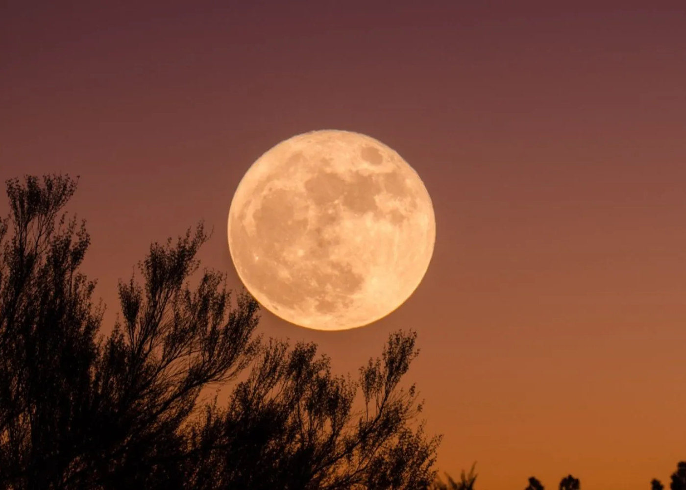How The Full Moon On March 28 Will Affect Your Zodiac Sign